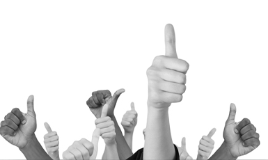 Industry Endorsements