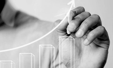 Partnership / Investment